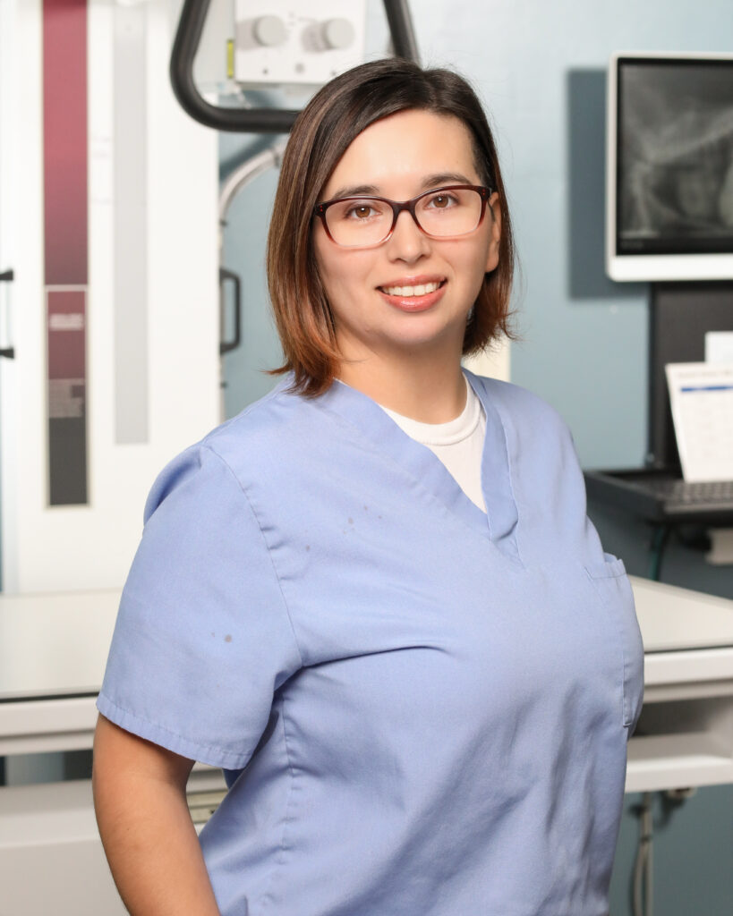 About Us Mosaic Animal Health Center at St. Hubert's