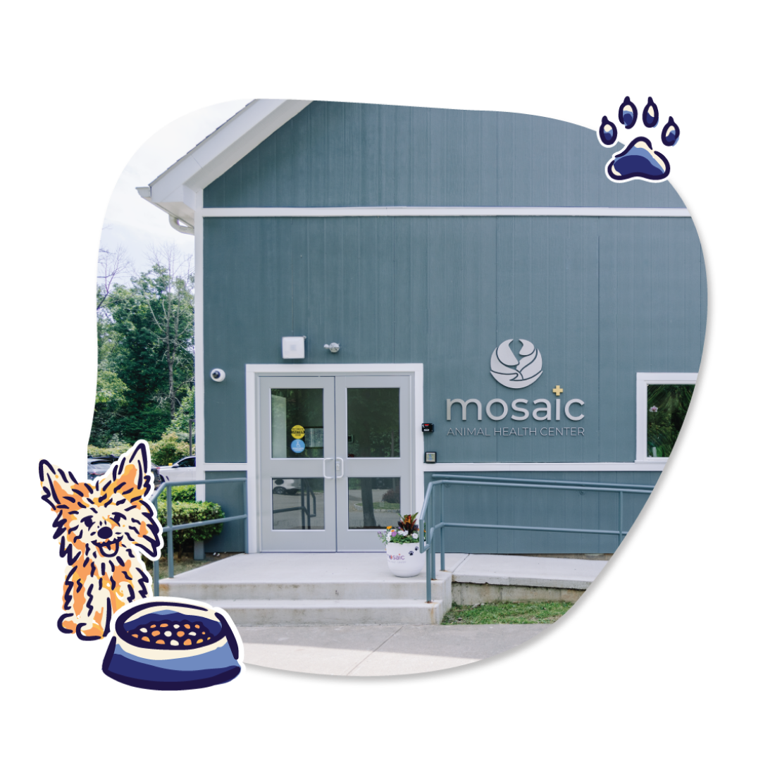 About Us Mosaic Animal Health Center at St. Hubert's